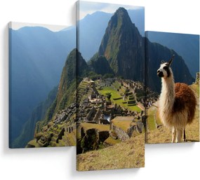 Kép - Láma és Machu Picchu (90x60 cm)