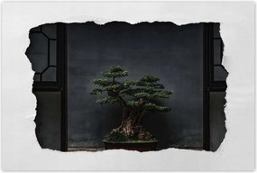 Poszterek 120x80 Bonsai Fa Kultúra