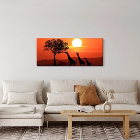 Zsiráfok képe naplementekor (120x50 cm)