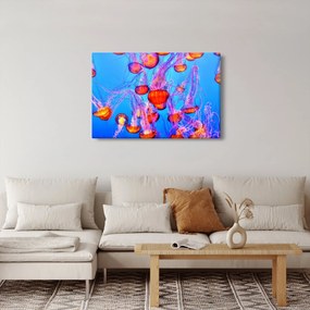 Medúza a tengerben képe (90x60 cm)