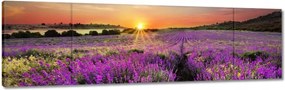 Vászonkép 170x50 Levendulamező Nyugat