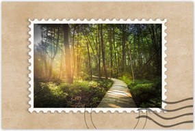 Poszterek 90x60 Napsugár a sétán