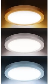 Solight WD244-S - LED panel 2 az 1-ben 24W/230V 3000/4000/6000K átm. 30 cm IP54 ezüstszínű