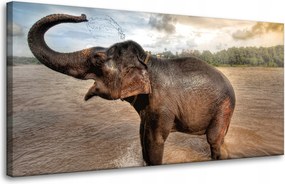 Vászonkép Elefánt Víz Felhők Természet Fürdő 80x40 cm