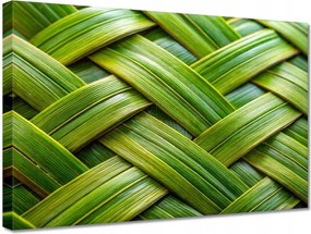 Vászonkép 30x20 Zöld fonott Zöld rattan fonott lemez
