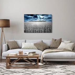 A mező képe (90x60 cm)