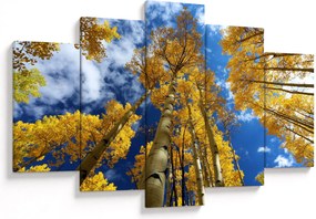 Kép - Aspen (150x105 cm)