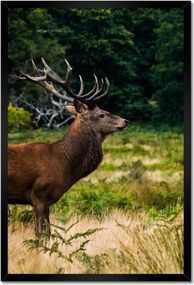 Poszterek keretben 40x60 Óriás szarvas Tájkép