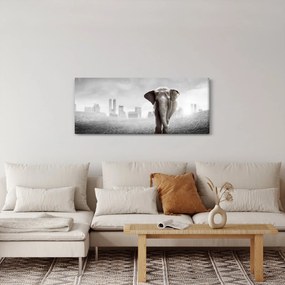 Kép -Elefánt egy nagyvárosban, fekete-fehér változat (120x50 cm)