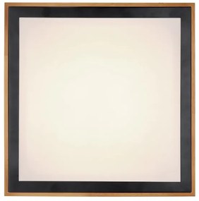 Globo 41764-24Q - LED Mennyezeti lámpa BRUNO LED/24W/230V 3000/4500/6000K