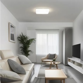 Brilagi - LED mennyezeti lámpatest PLAIN LED/24W/230V 3000K