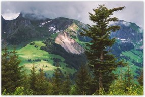 Poszterek 120x80 Híd Építészet Tájkép