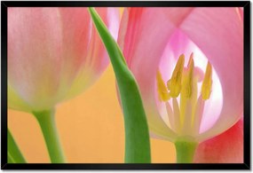 Poszter keretben 60x40 Rózsaszín tulipánok