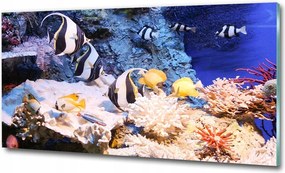 Fotó-kép edzett üveg Korallzátony 125x50