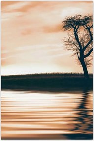 Poszterek 80x120 Fa a szigeten