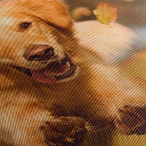 Kép - Golden Retriever (90x60 cm)
