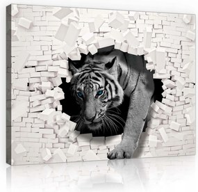 Vászonkép 60x40 A természet ereje Tigris a minimalista belső térben Erős akcentus