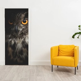 Fotótapéta ajtóra - Bagoly (95x205cm)
