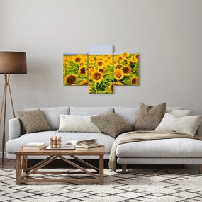 Kép - Napraforgók (90x60 cm)