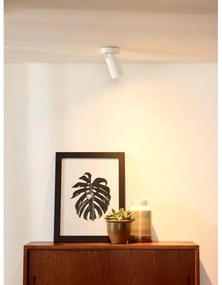 Lucide 23954/06/31 - LED Dimmelhető spotlámpa XYRUS 1xGU10/5W/230V CRI 95