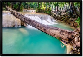 Poszterek keretben 60x40 Kidőlt fa