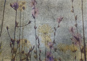 Fotótapéta Flizelin Tapéta Hálószoba és Nappali Mezei virágok 312x219