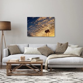 Kép - Pálmafák a felhők között (üvegen) (70x50 cm)