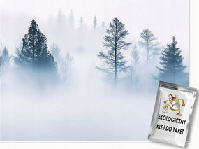 Fotótapéta Erdő A Ködben Fa Hálószoba Nappali Tapéta Flizelina 300x210