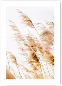 Boho Fű barna poszter kép B1 100x70cm #20 O