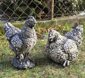 Tyúk szett beton figurák kerti dekoráció 27cm 2 db Tyúk
