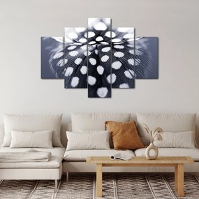 Kép - Toll (150x105 cm)
