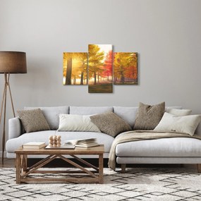 Őszi fák képe (90x60 cm)