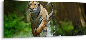Futó tigris képe (120x50 cm)