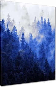 Vászonkép 60x80 Kék táj Hegyek