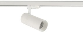 Tinos LED