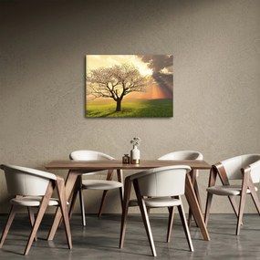 Fa képe a réten (70x50 cm)