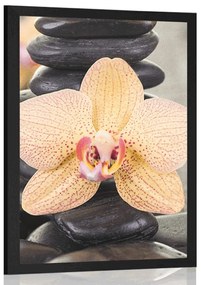 Poszter sárga orchidea és Zen kövek