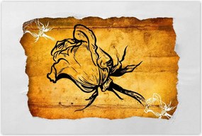 Poszterek 120x80 Rózsa