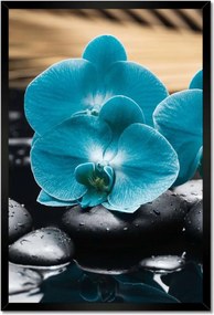 Poszter keretben 40x60 Türkiz orchidea Virág