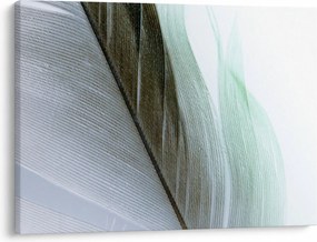 Kép - Tollak, makro (70x50 cm)