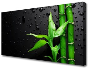 Vászonkép falra Bambusz levelek Plant 140x70 cm