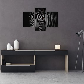 Zebra képe (90x60 cm)