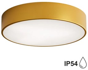 Brilagi - Fürdőszobai mennyezeti lámpa CLARE 2xE27/24W/230V átm. 40 cm IP54 arany