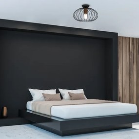 Mennyezeti lámpa MERIDIANO 1xE27/60W/230V