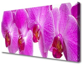 Vászonfotó Virág növény természet 125x50 cm