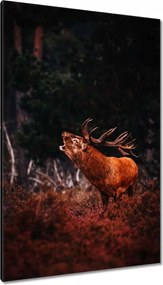 Vászonkép 80x120 Szarvas az erdőben