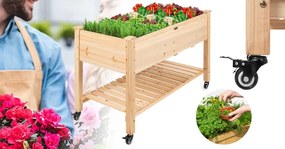 Guruló fa palántázó