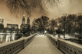 Poszter 60x40cm Central Park Bow Bridge Manhattan panorámával, Assaf Frank