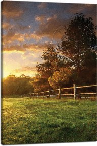 Vászonkép Nap Tájkép Vidéki fák Rét 40x60 cm