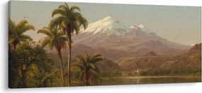 Kép - Frederic Edwin Church, Tamaca Palms, reprodukciók (120x50 cm)